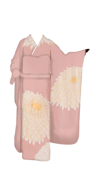 No.538「★万寿菊」